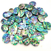 Beautiful Abalone Shell Cabochon Loose Gemstone Natural Paua Abalone Shell Wholesale Lot Mix Shape 15-40 mm Abalone shell For Jewelry making