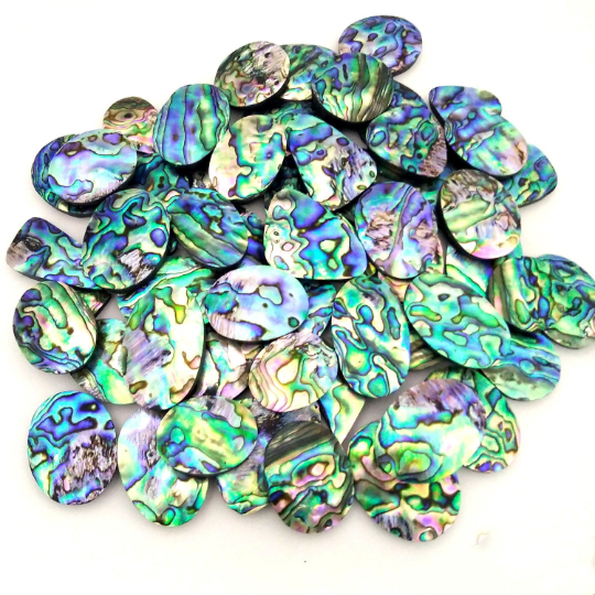 Beautiful Abalone Shell Cabochon Loose Gemstone Natural Paua Abalone Shell Wholesale Lot Mix Shape 15-40 mm Abalone shell For Jewelry making