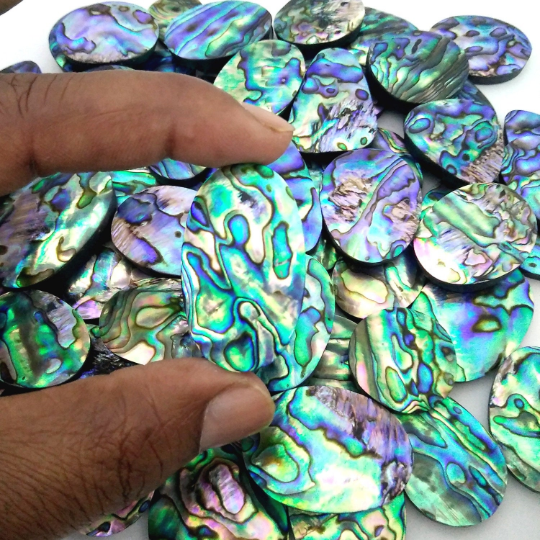 Beautiful Abalone Shell Cabochon Loose Gemstone Natural Paua Abalone Shell Wholesale Lot Mix Shape 15-40 mm Abalone shell For Jewelry making