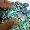 Beautiful Abalone Shell Cabochon Loose Gemstone Natural Paua Abalone Shell Wholesale Lot Mix Shape 15-40 mm Abalone shell For Jewelry making