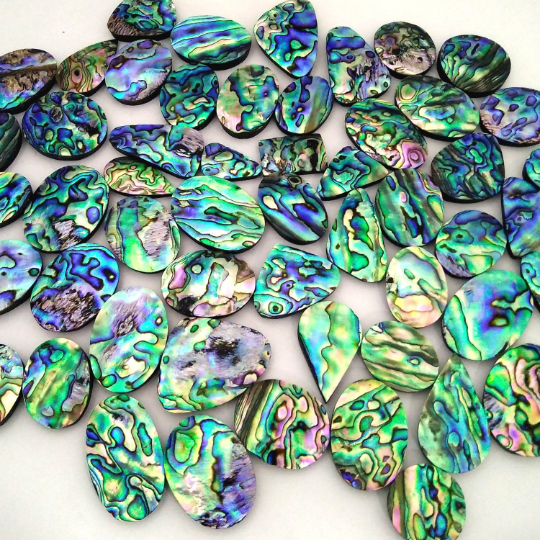 Beautiful Abalone Shell Cabochon Loose Gemstone Natural Paua Abalone Shell Wholesale Lot Mix Shape 15-40 mm Abalone shell For Jewelry making